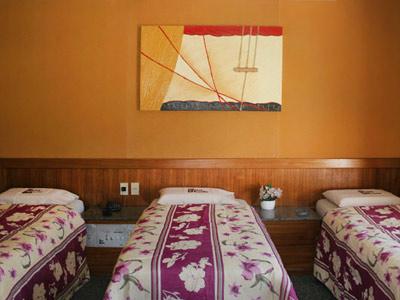 ריו דה ז'ניירו Hotel Barao Da Taquara מראה חיצוני תמונה